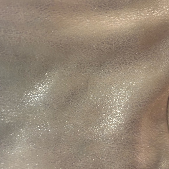 HOBO Silver Metallic Leather Crossbody Bag - Picture 16 of 16